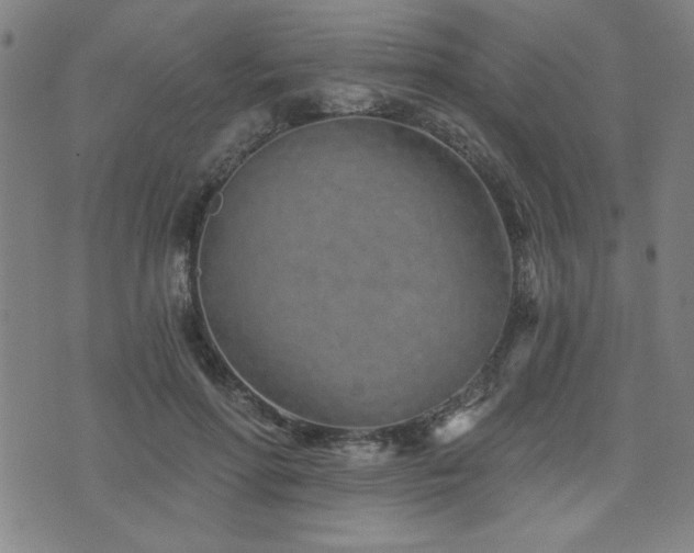 X0000072940598200607211103