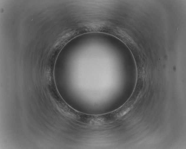 X0000072940599200607211103