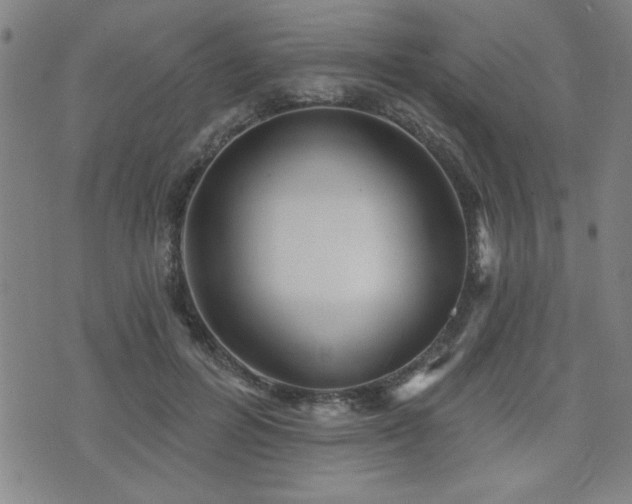 X0000072940600200607211103