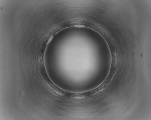 X0000072940601200607211103