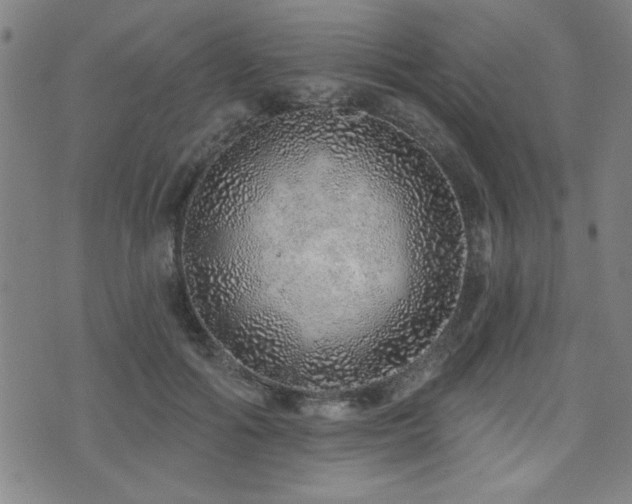 X0000072940602200607211103