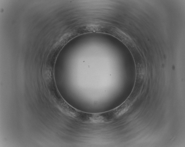 X0000072940603200607211103