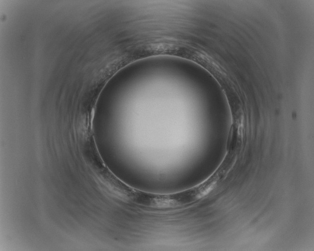 X0000072940605200607211103