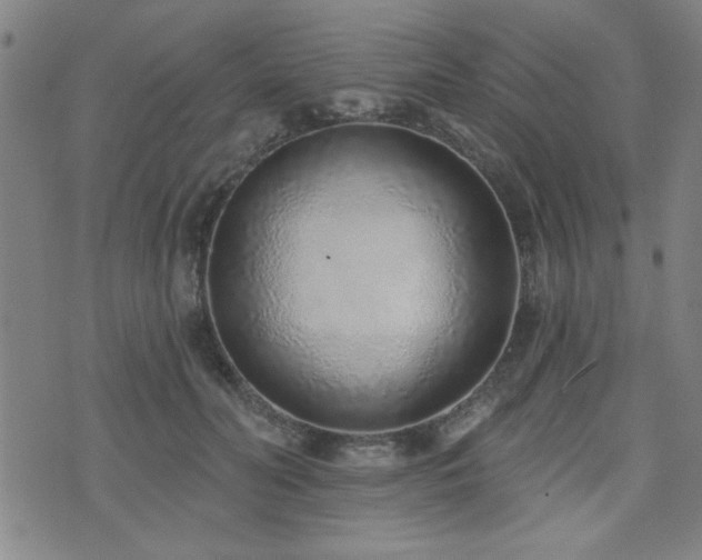 X0000072940606200607211103