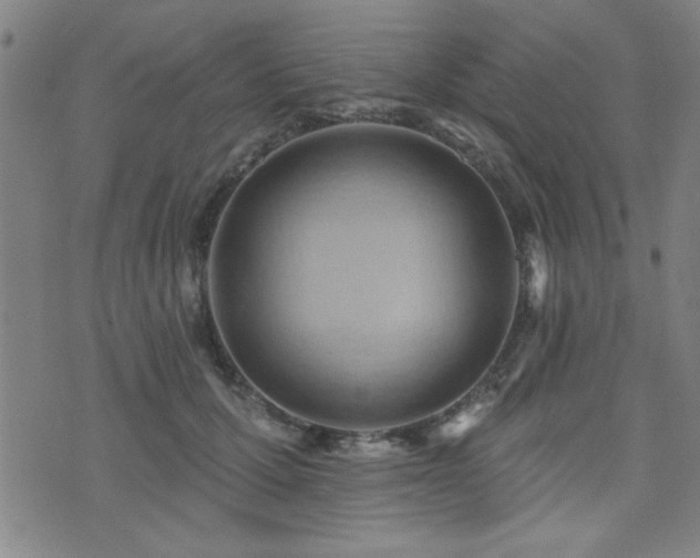 X0000072940607200607211103