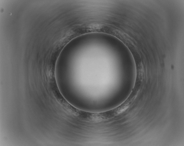 X0000072940608200607211103