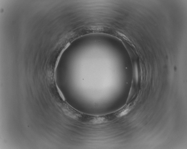 X0000072940609200607211103