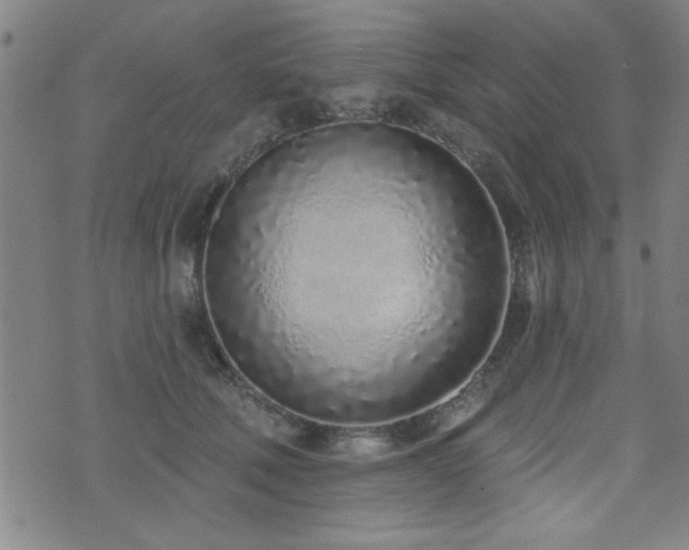 X0000072940610200607211103