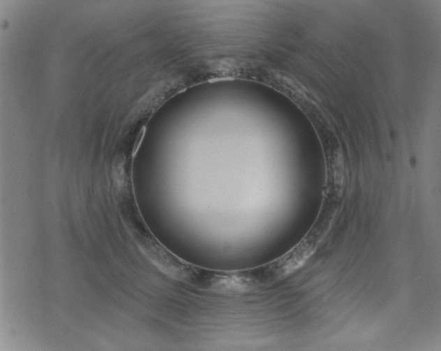 X0000072940611200607211103