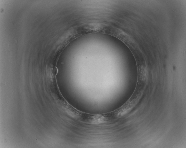 X0000072940612200607211103