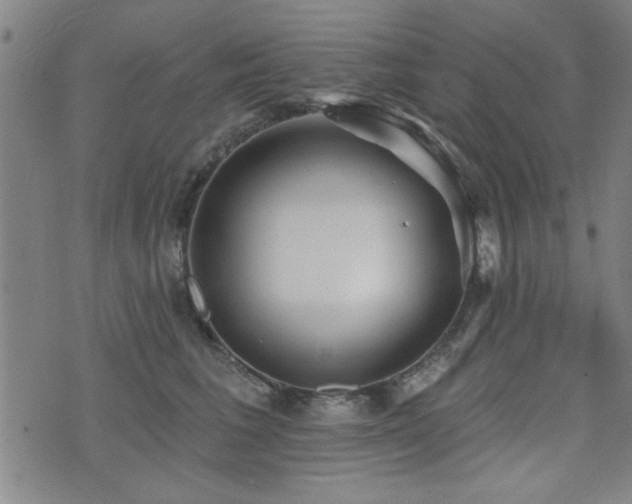 X0000072940613200607211103