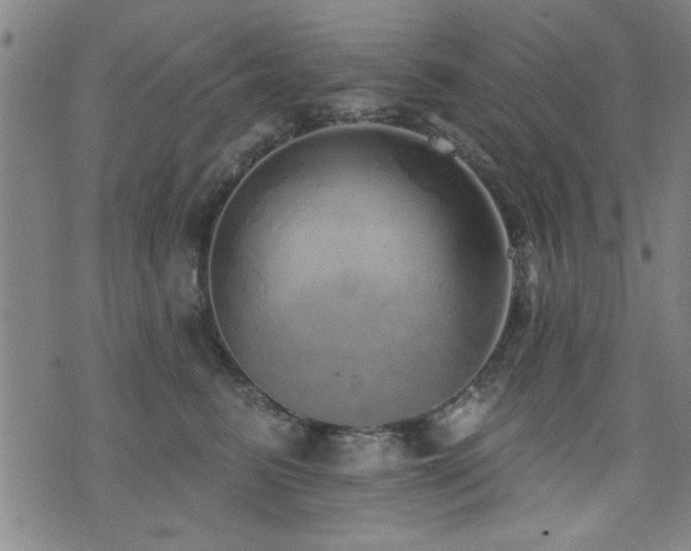 X0000072940615200607211103