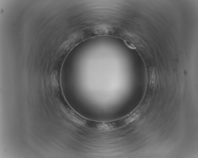 X0000072940616200607211103