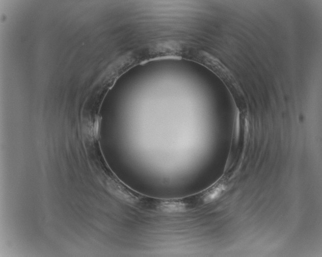 X0000072940617200607211103