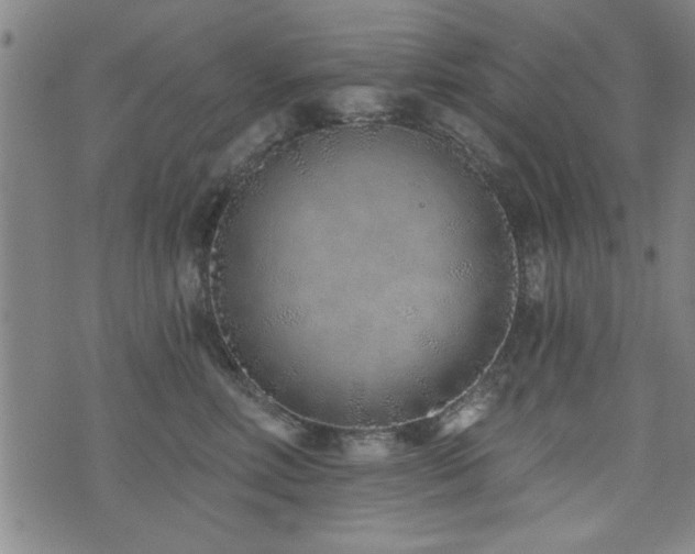 X0000072940618200607211103