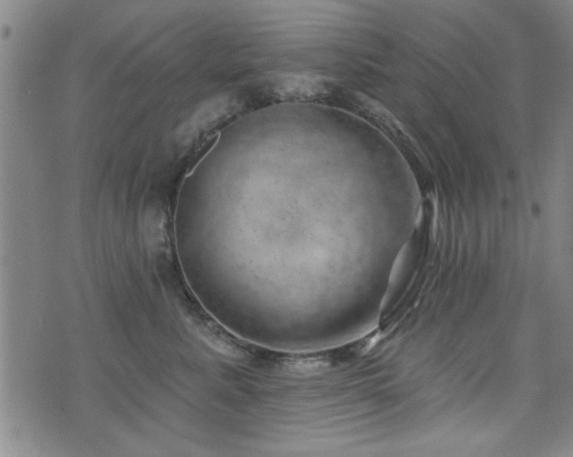 X0000072940619200607211103