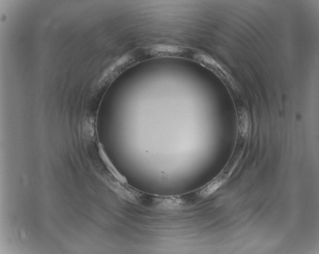 X0000072940621200607211103