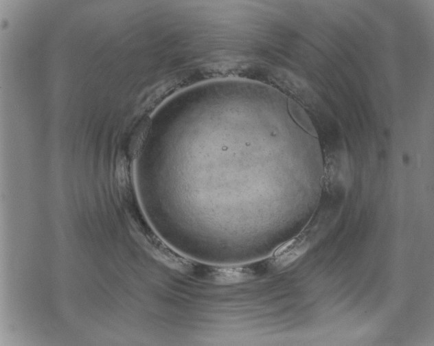 X0000072940623200607211103