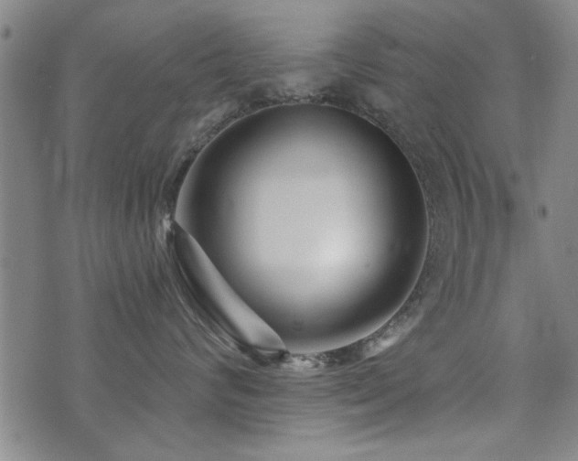 X0000072940624200607211103