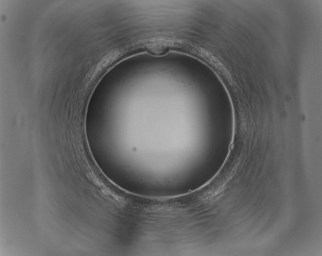 X0000072940625200607211102