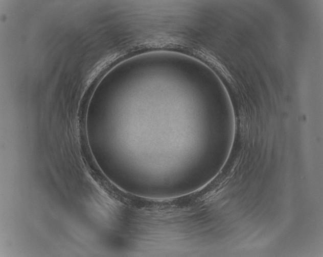 X0000072940626200607211102