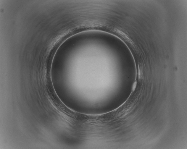 X0000072940627200607211102