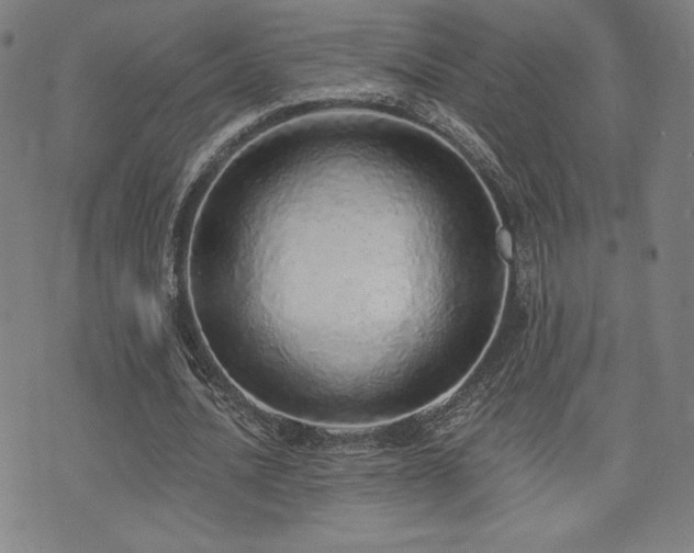 X0000072940628200607211102