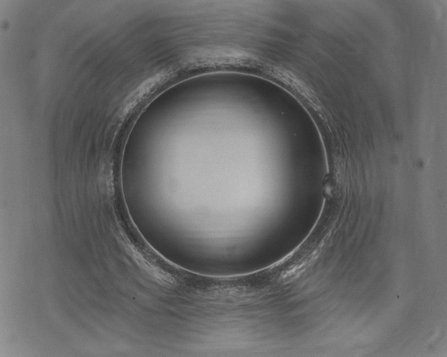 X0000072940629200607211102