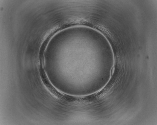 X0000072940630200607211102