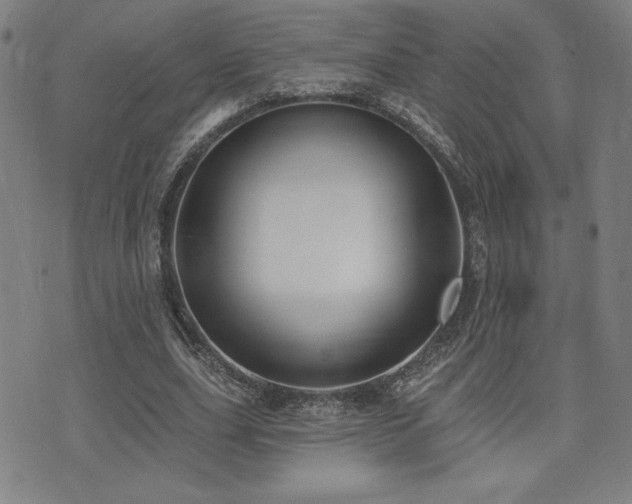 X0000072940631200607211102