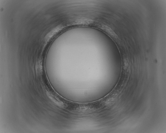 X0000072940632200607211102