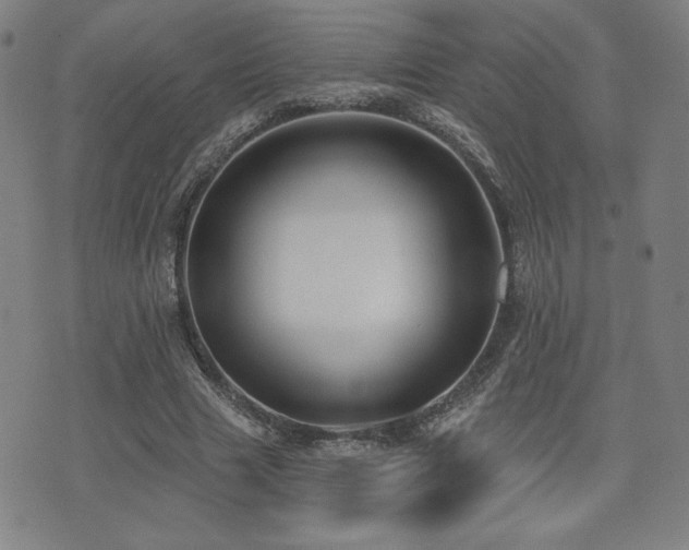 X0000072940633200607211102