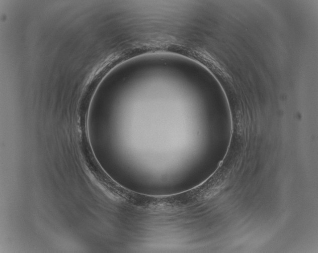 X0000072940634200607211102