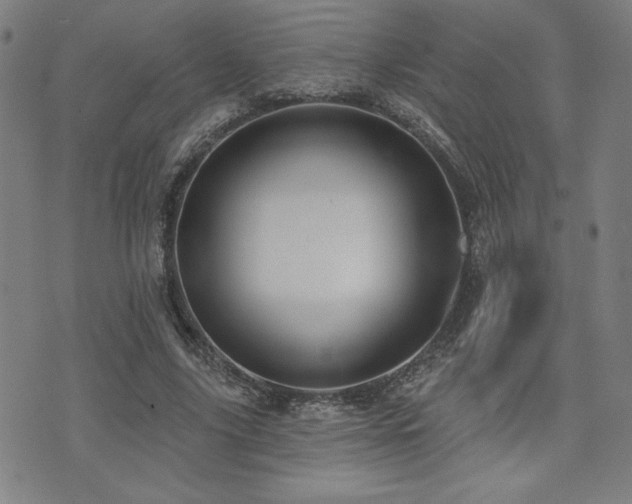 X0000072940635200607211102