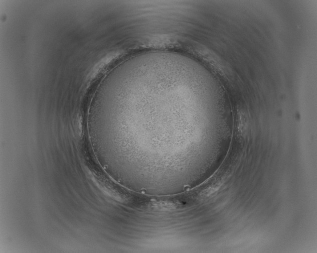 X0000072940636200607211102