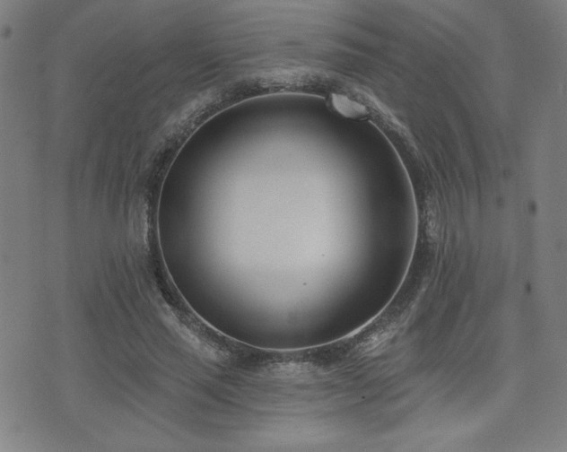 X0000072940637200607211102