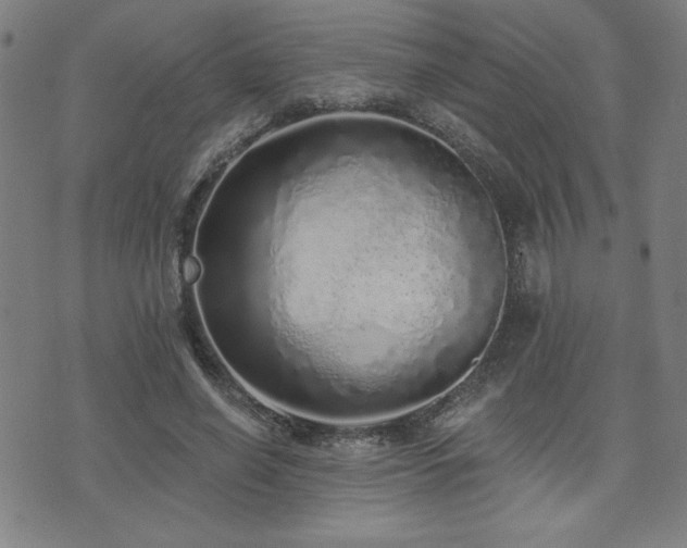 X0000072940638200607211102