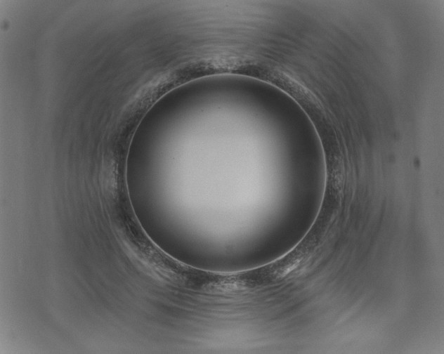 X0000072940639200607211102