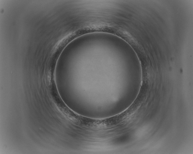 X0000072940640200607211102