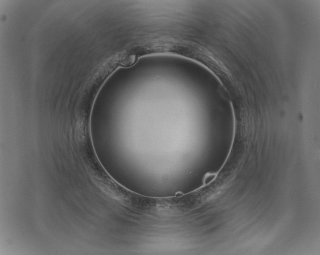 X0000072940641200607211103