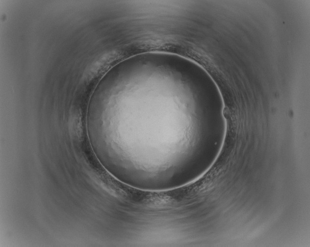 X0000072940642200607211103