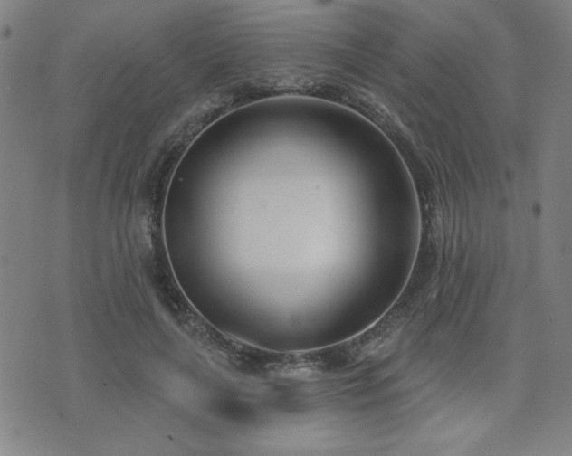 X0000072940643200607211103