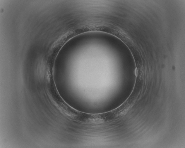 X0000072940644200607211103