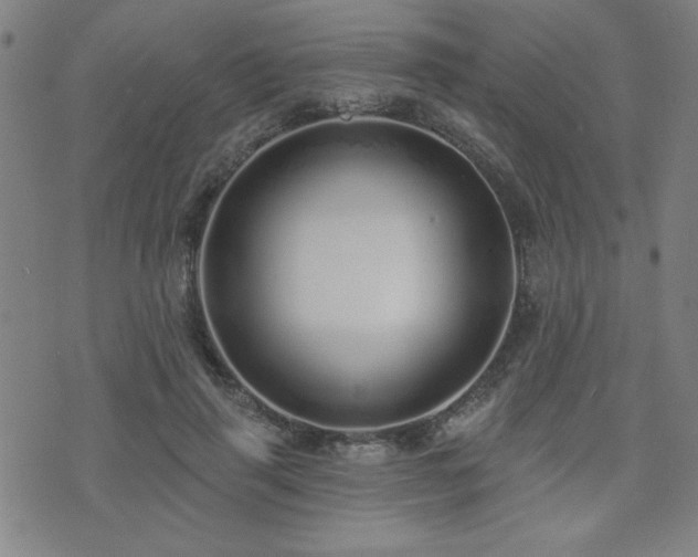 X0000072940645200607211103