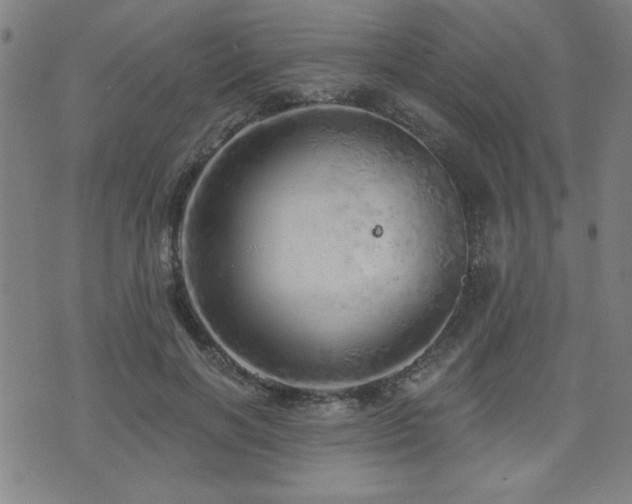 X0000072940646200607211103