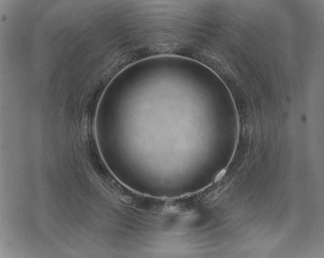 X0000072940647200607211103