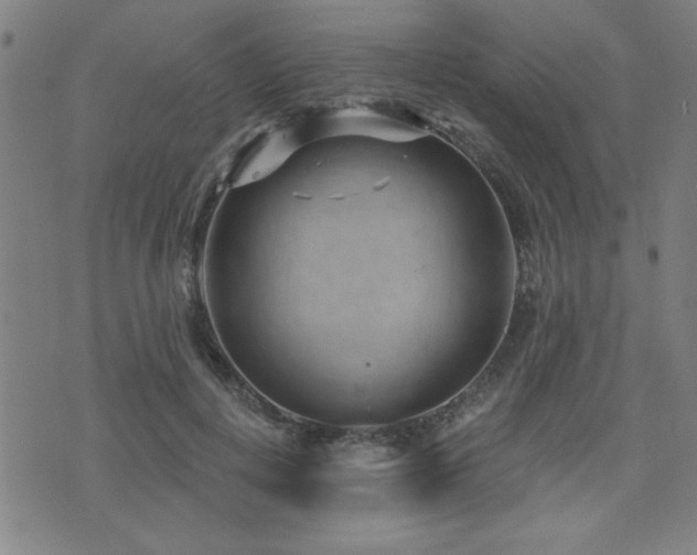 X0000072940648200607211103