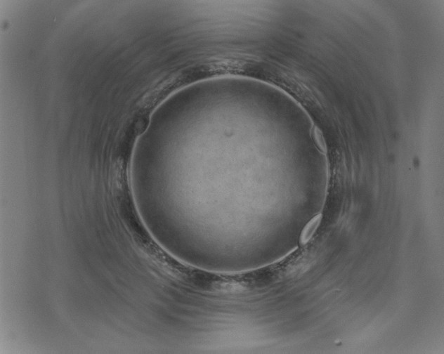 X0000072940649200607211103