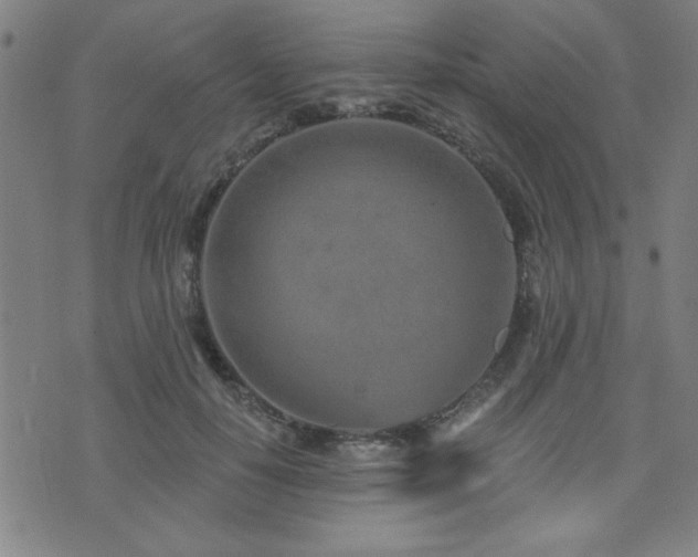 X0000072940650200607211103