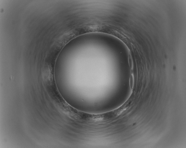 X0000072940651200607211103